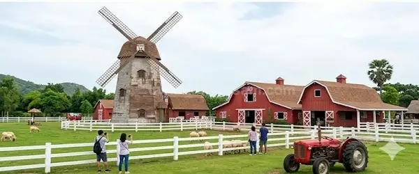 Swiss Sheep Farm: Yel değirmenleri ve çiftlik atmosferi.